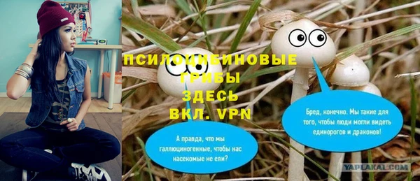 spice Алексин