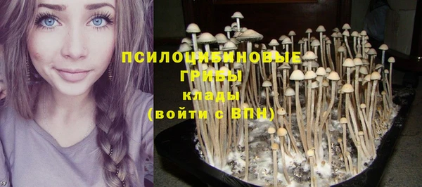 прущая мука Абинск