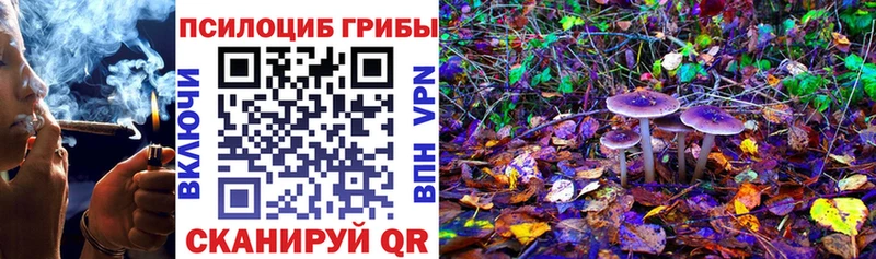 Галлюциногенные грибы Magic Shrooms  Сыктывкар 